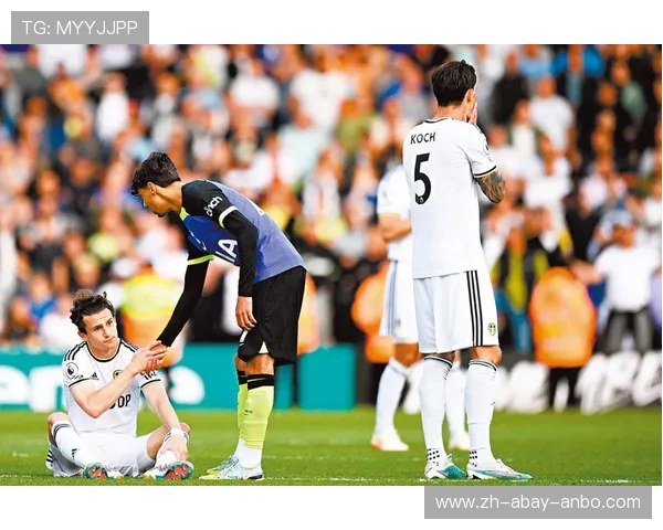 英超降级球队都去哪里了 从英超到英冠的沉浮历程