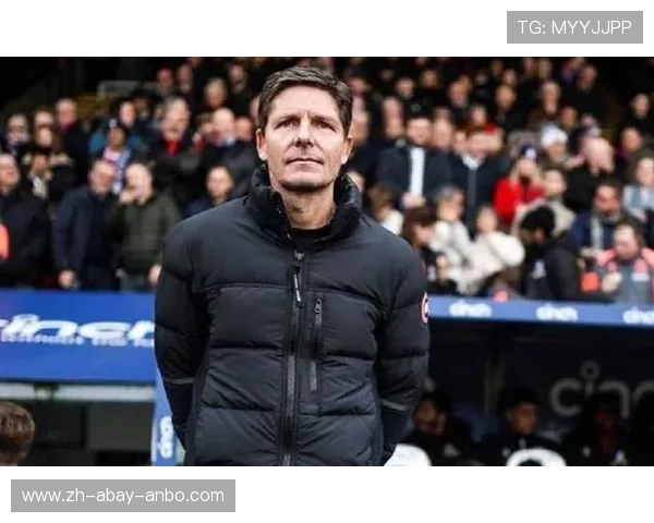 英超水晶宫现任主教练个人履历公开